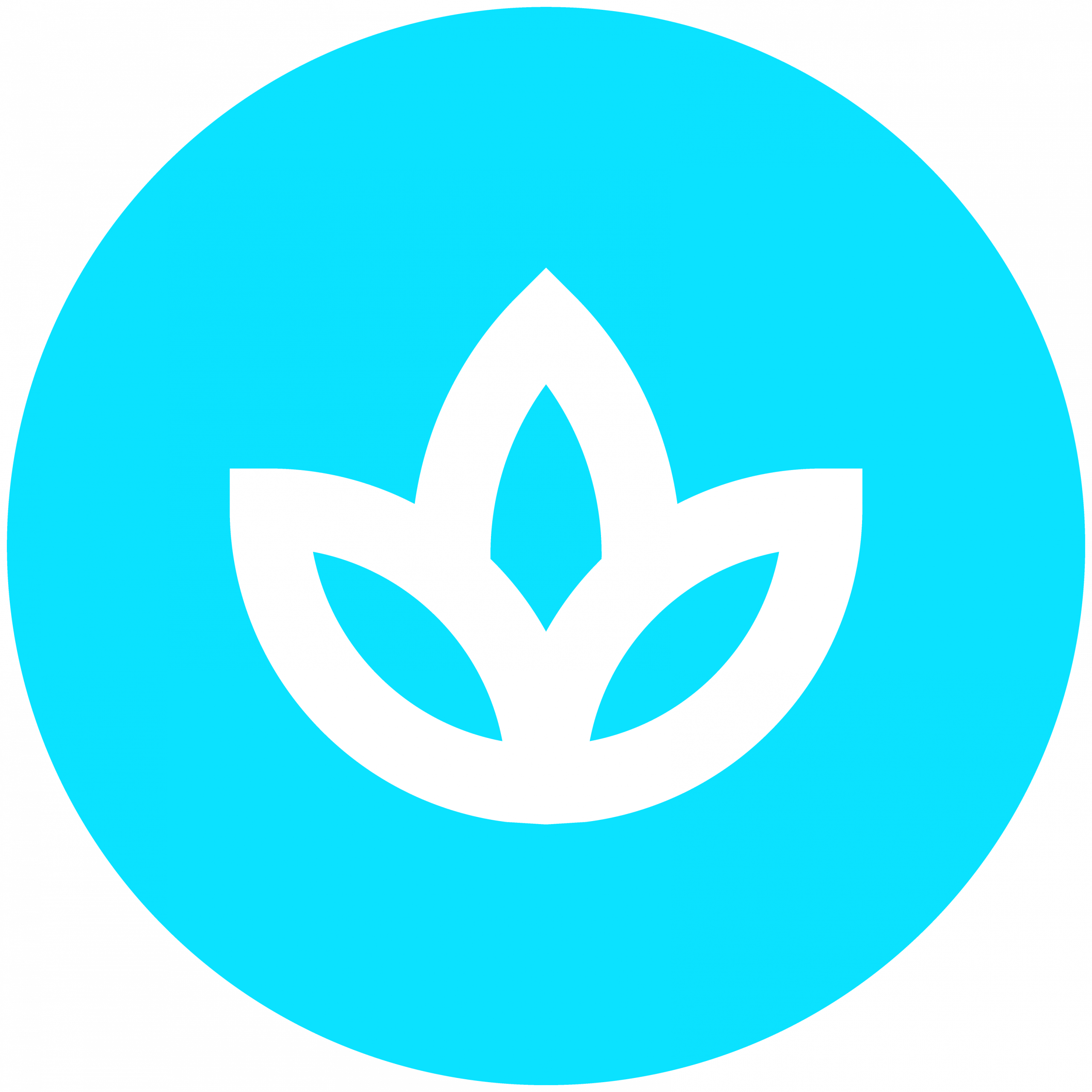 Activitats esportives i motrius